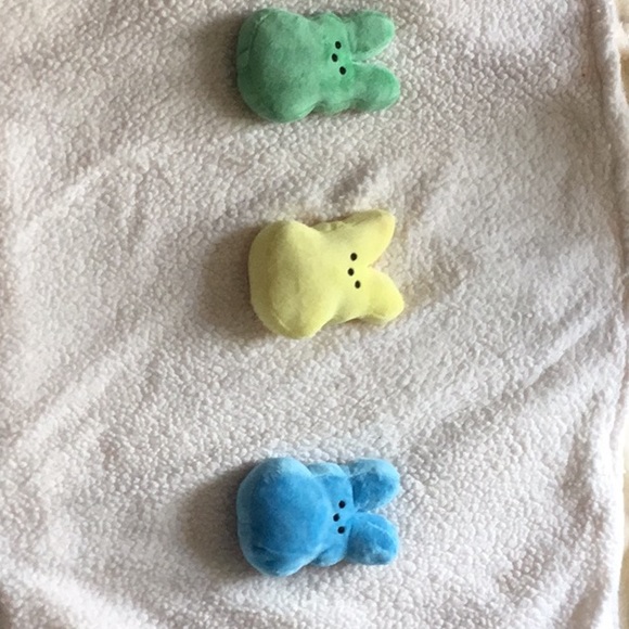Peep Style Bunnies - Picture 5 of 5